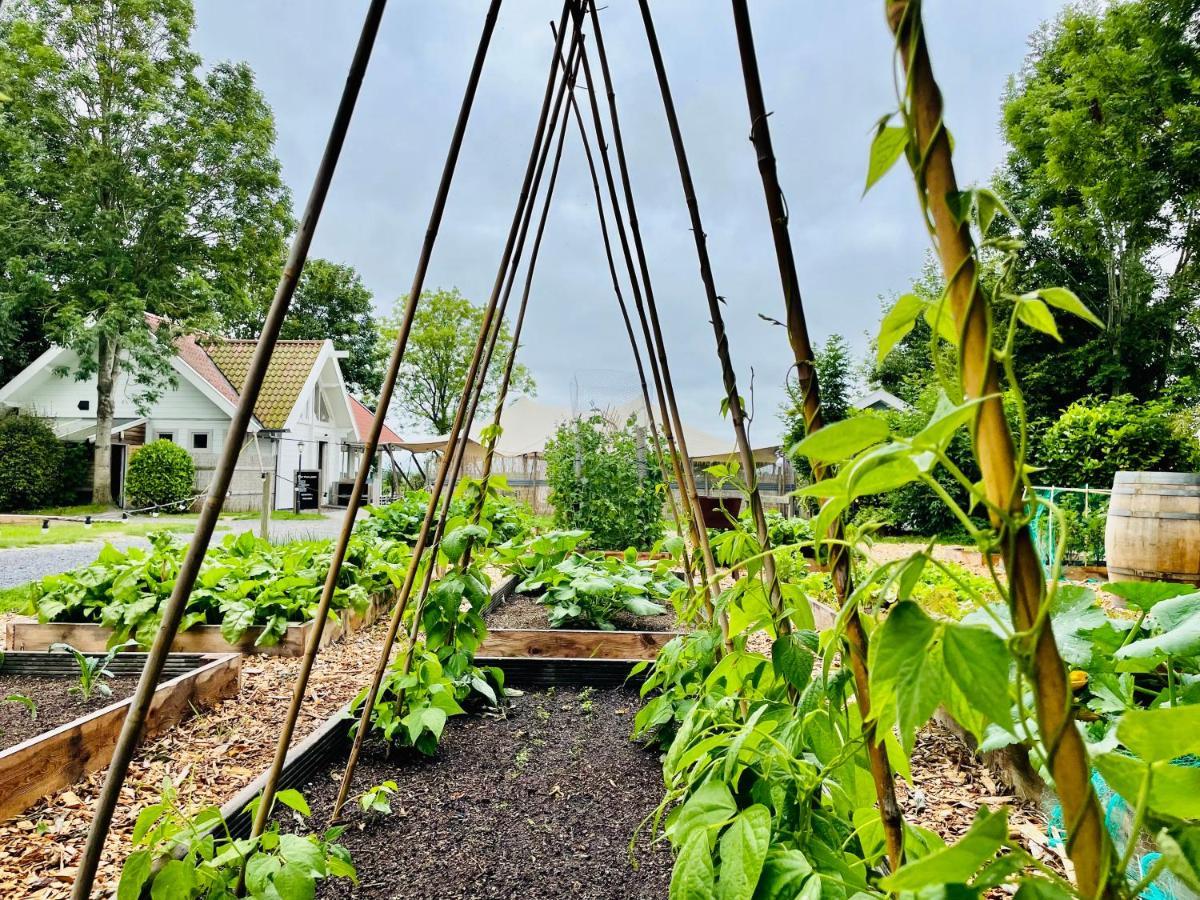 דוקום Boomhuis Met Optioneel Wellness - Vakantiepark De Schreiershoek מראה חיצוני תמונה
